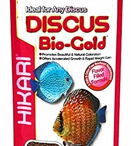 Hikari DISCUS Bio-Gold