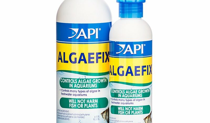 API ALGAEFIX for aquarium