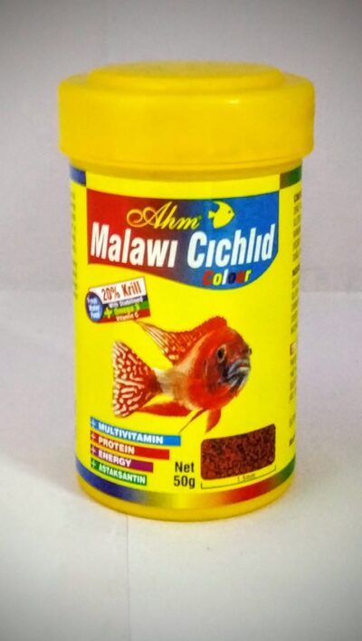 AHM Malawi cichlids color
