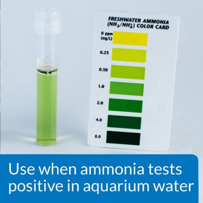 API Ammo-Lock Ammonia Detoxifier