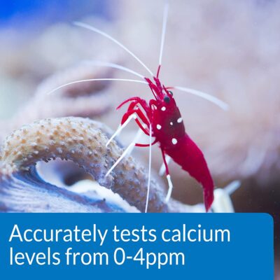 API Calcium Test Kit, 150 Gram