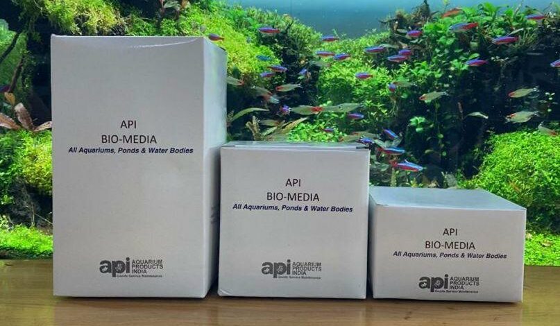 API Bio Media – filter Media
